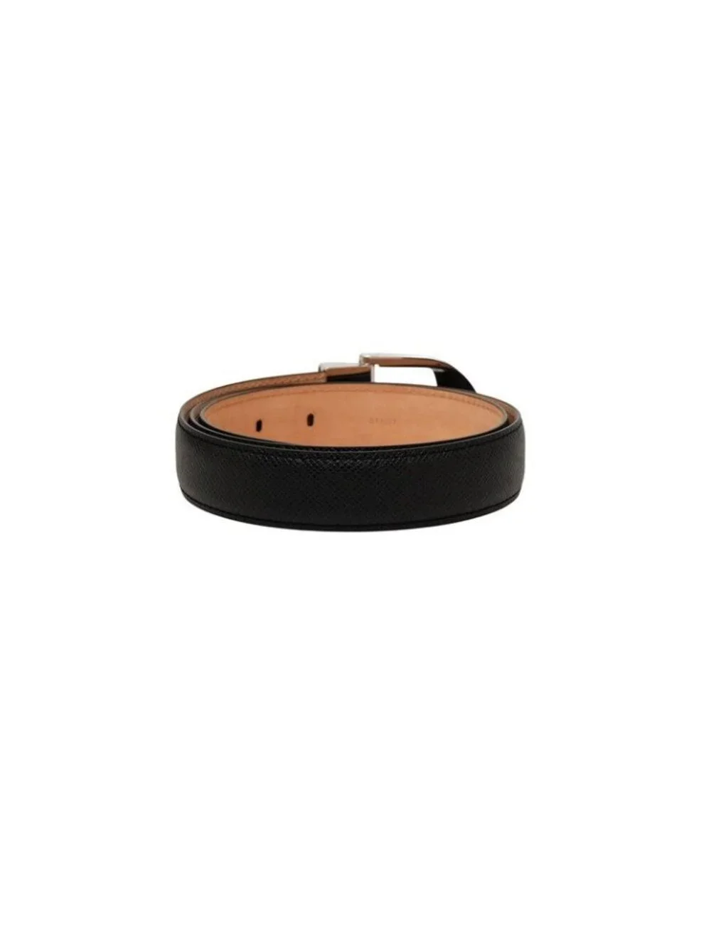 Louis Vuitton brand louis